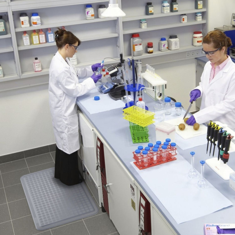 Lab
